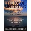 The Joy of Meditating (Paperback)