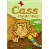 Cass the Monkey